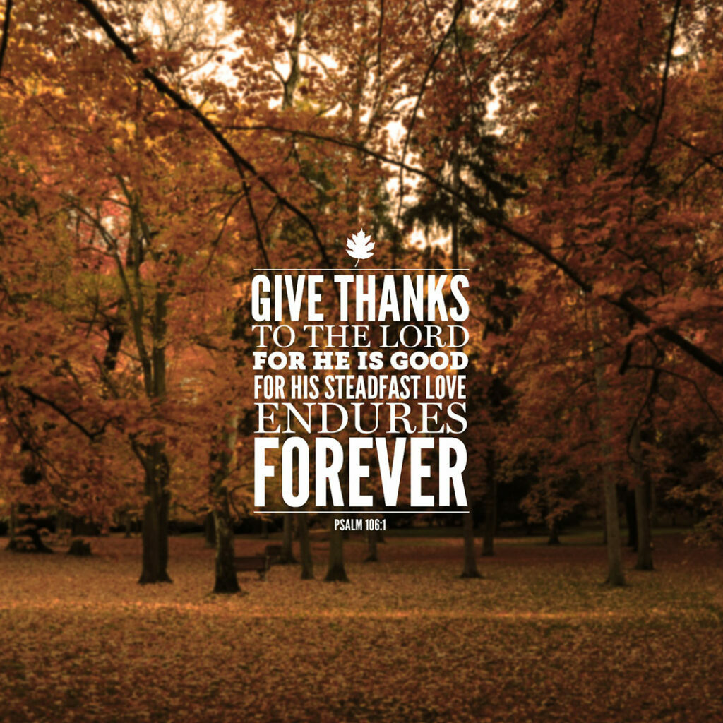 give-thanks-to-the-lord-field